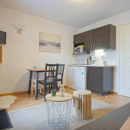 Apartment Studio Charmant Avec Vue Sur Les Montagnes De Et Saint Anastaise 25 M² Balcon Besse-et-Saint-Anastaise