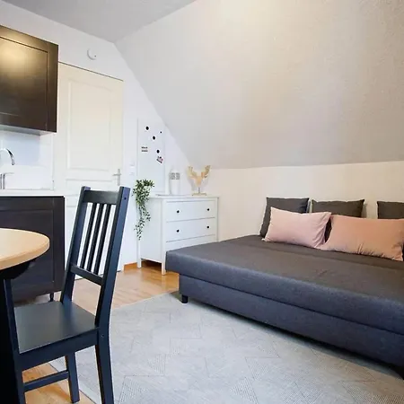 Studio Charmant Avec Vue Sur Les Montagnes De Et Saint Anastaise 25 M² Balcon